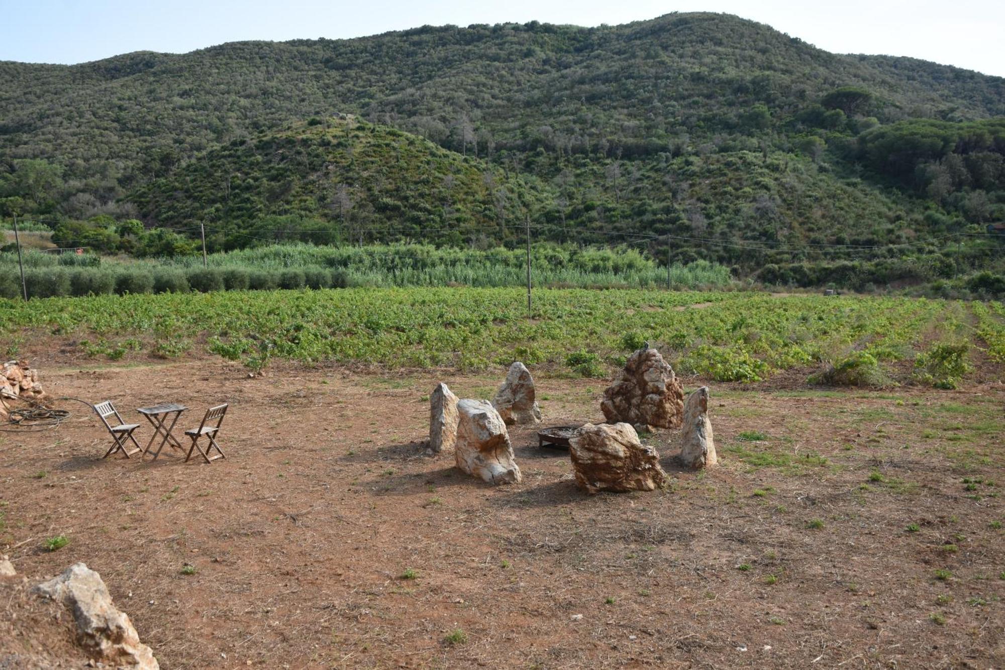 Appartement Elba Borgo Di Latrano à Magazzini  Extérieur photo