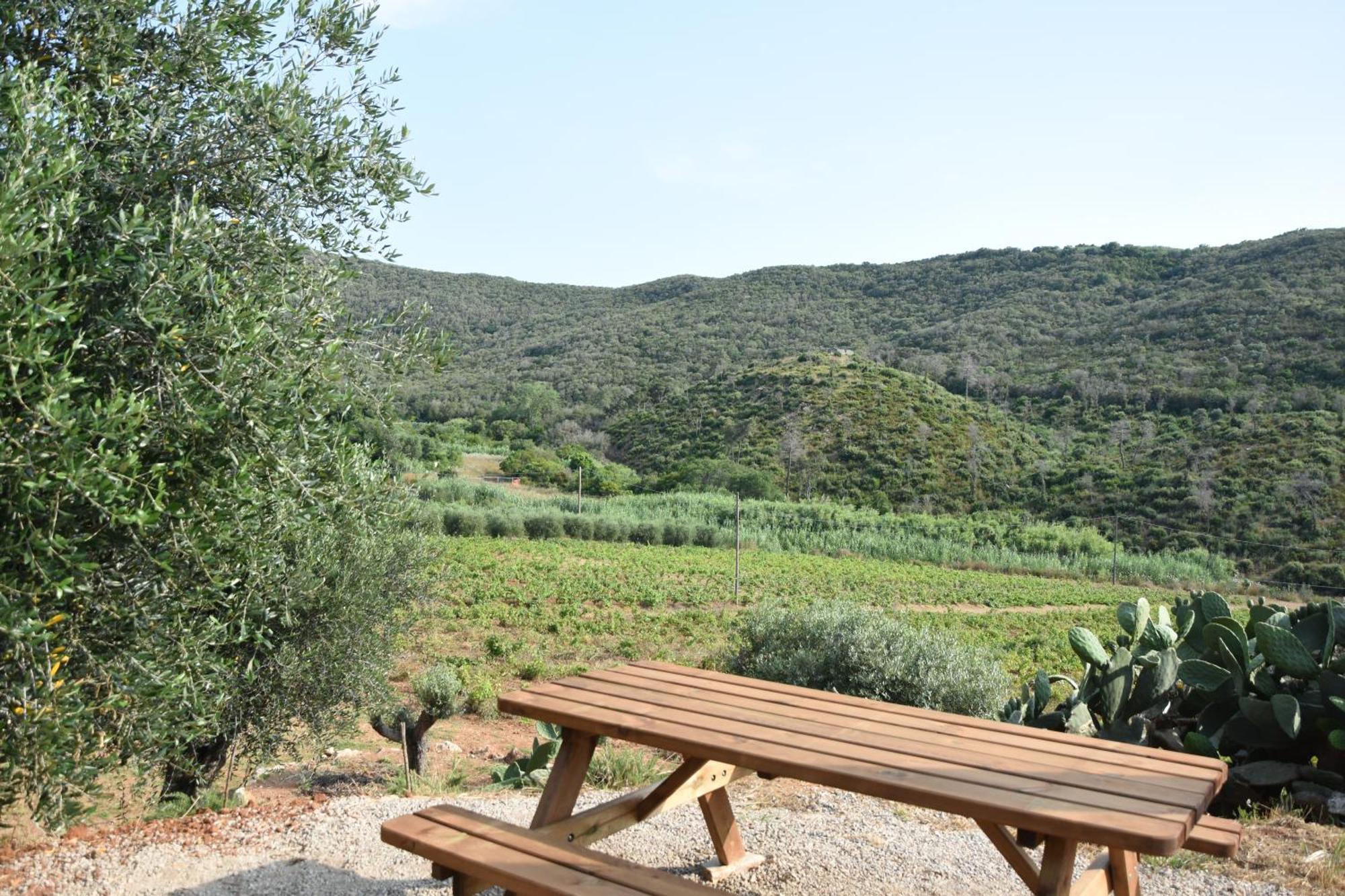 Appartement Elba Borgo Di Latrano à Magazzini  Extérieur photo